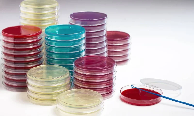 Image of 500g C.L.E.D. AGAR BASE W/O INDICATOR